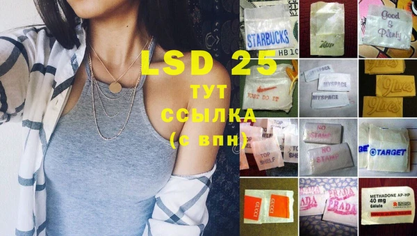 индика Лихославль