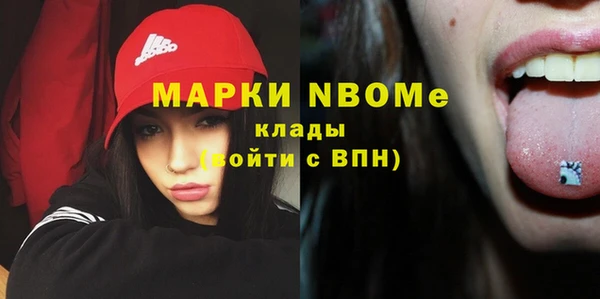 индика Лихославль