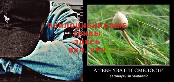 крисы Лиски