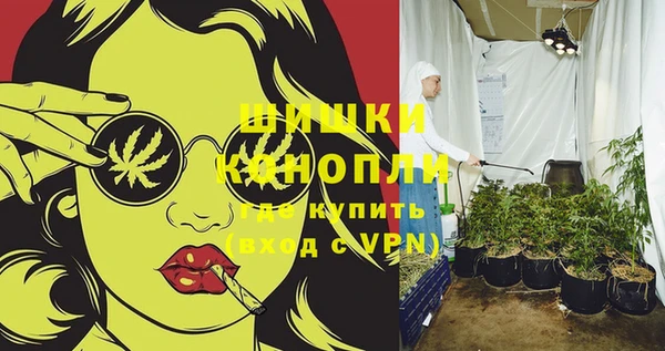 индика Лихославль