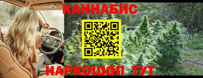 амф Гусь-Хрустальный